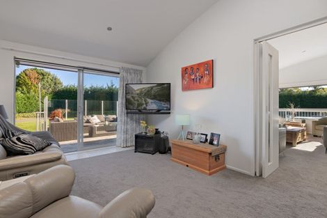 Photo of property in 38 Youngson Road, Whakamarama, Tauranga, 3180