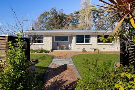 Photo of property in 21 Fitzroy Avenue, Fitzroy, Hamilton, 3206