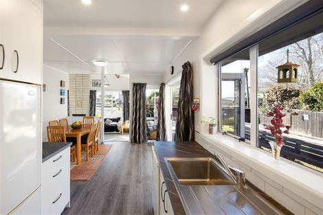 Photo of property in 21 Fitzroy Avenue, Fitzroy, Hamilton, 3206