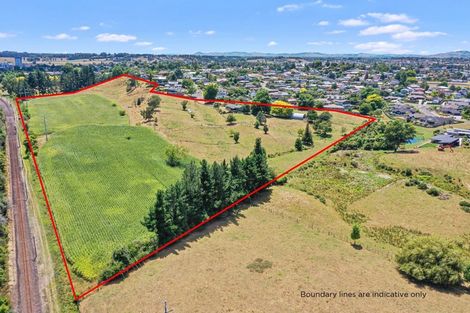 Photo of property in 540 Wallace Terrace, Te Awamutu, 3800