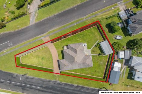 Photo of property in 2 Fitzherbert Street, Putaruru, 3411