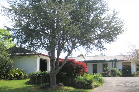 Photo of property in 4 Parkvale Place, Morrinsville, 3300