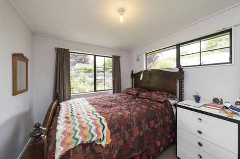 Photo of property in 115 Worcester Street, Ashhurst, 4810