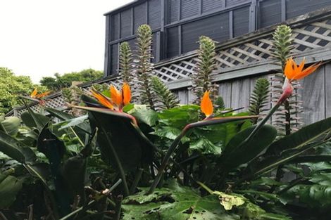 Photo of property in 11 View Road, Shelly Park, Auckland, 2014