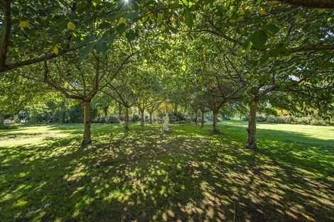 Photo of property in 17 Bridge Street, Southbridge, 7602