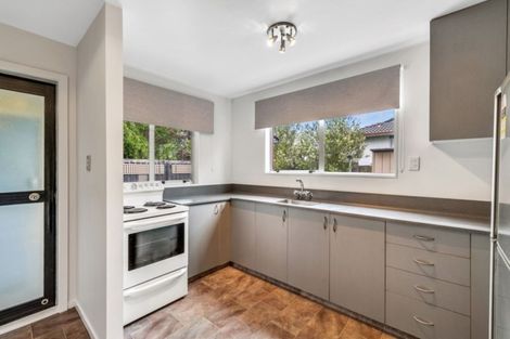 Photo of property in 11/95 Bordesley Street, Phillipstown, Christchurch, 8011