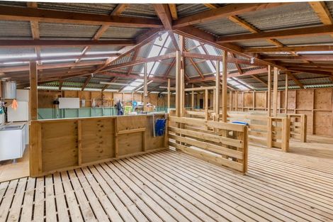 Photo of property in 2/38 Bayswater Avenue, Bayswater, Auckland, 0622