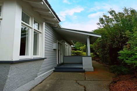Photo of property in 21 Oakland Street, Andersons Bay, Dunedin, 9013