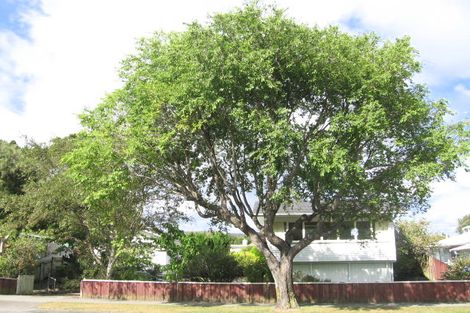 Photo of property in 3 Mcleod Street, Elderslea, Upper Hutt, 5018