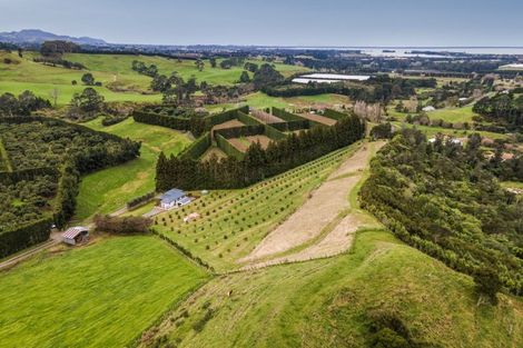 Photo of property in 54d Chard Road, Aongatete, Katikati, 3178
