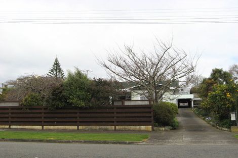 Photo of property in 6 Montgomery Street, Levin, 5510