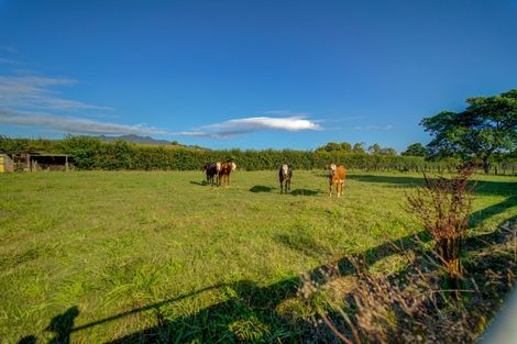 Photo of property in 1170 Franklin Street, Pirongia, 3802
