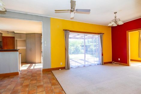 Photo of property in 20 Taylor Street, Geraldine, 7930