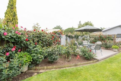 Photo of property in 3 Mckain Place, Fitzroy, Hamilton, 3206