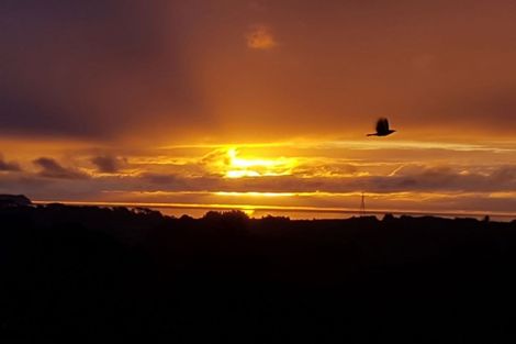 Photo of property in 14 Amokura Street, Waikanae, 5036