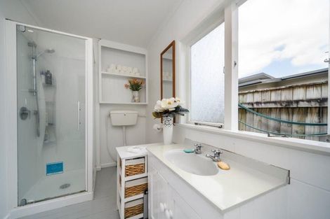 Photo of property in 406 Ruahine Street, Terrace End, Palmerston North, 4410