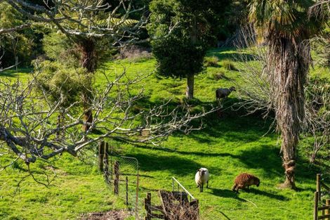 Photo of property in 62 Tuapiro Road, Tahawai, Katikati, 3170