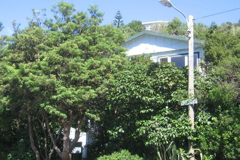 Photo of property in 53 Wilton Road, Wilton, Wellington, 6012