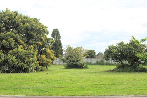 Photo of property in 11 Allington Place, Bethlehem, Tauranga, 3110