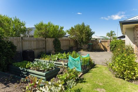 Photo of property in 41 Potae Avenue, Lytton West, Gisborne, 4010