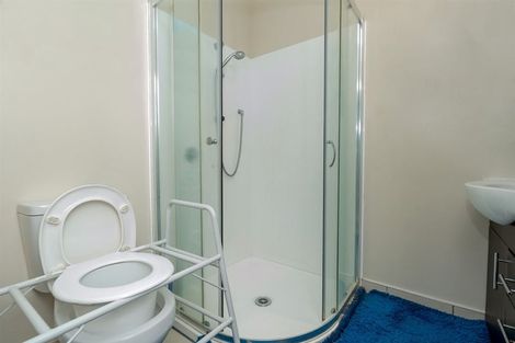 Photo of property in 155a Killarney Road, Frankton, Hamilton, 3204