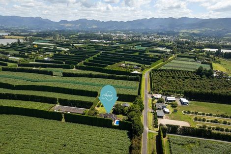 Photo of property in 126 Pukakura Road, Katikati, 3178