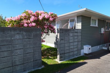 Photo of property in 28 Brecon Road, Stratford, 4332