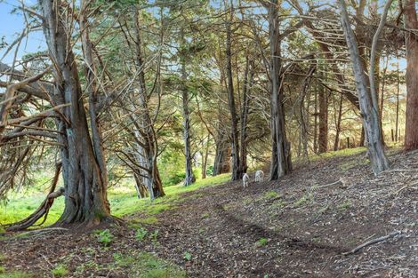 Photo of property in 33 Foley Quarry Road, Dairy Flat, Albany, 0792