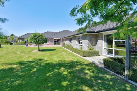 Photo of property in 68 Ruia Street, Gore, 9710