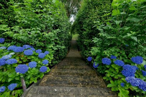 Photo of property in 47 Lloyd Road, Riverhead, Albany, 0793