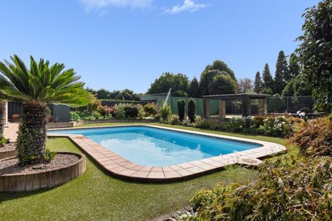 Photo of property in 74 Raukawa Drive, Bethlehem, Tauranga, 3110