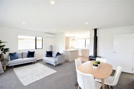 Photo of property in 46 Perriam Place, Mount Pisa, Cromwell, 9383