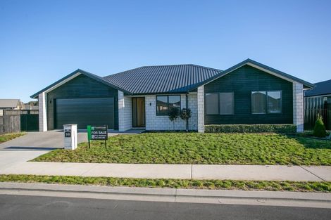 Photo of property in 50 Kingdon Street, Leamington, Cambridge, 3432