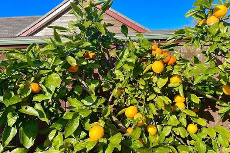 Photo of property in 7 Zenith Place, Conifer Grove, Takanini, 2112