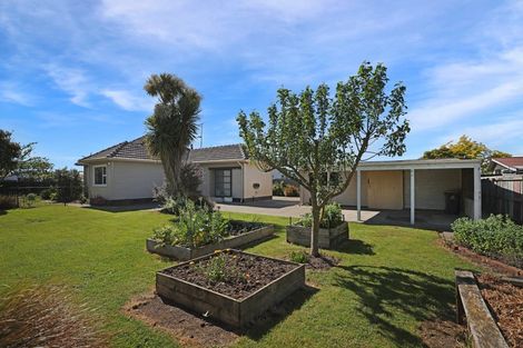 Photo of property in 3 Shearer Street, Tinwald, Ashburton, 7700