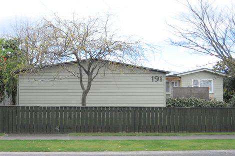 Photo of property in 191 Tamamutu Street, Taupo, 3330