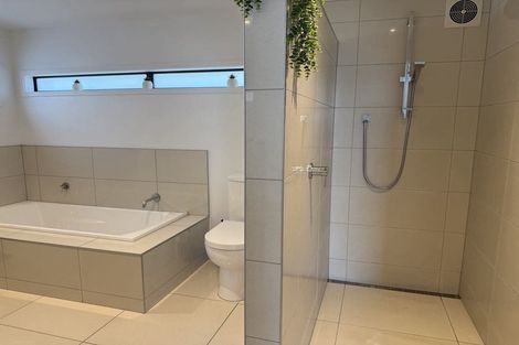 Photo of property in 6 Moa Street, Mount Maunganui, 3116