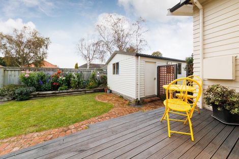 Photo of property in 51 Knowles Street, Terrace End, Palmerston North, 4410