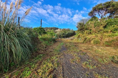 Photo of property in 1830 Colville Road, Amodeo Bay, Coromandel, 3584