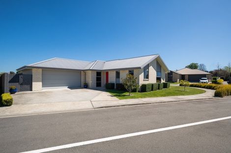 Photo of property in 12 Camborne Crescent, Blenheim, 7201
