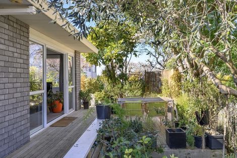 Photo of property in 2/19 Sixth Avenue, Tauranga, 3110