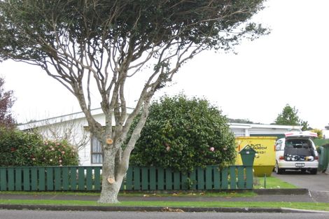 Photo of property in 1/40 Ballance Street, Lower Vogeltown, New Plymouth, 4310