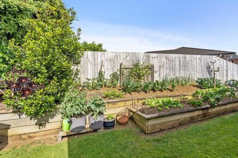 Photo of property in 7 Pinehurst Close, Te Kamo, Whangarei, 0112