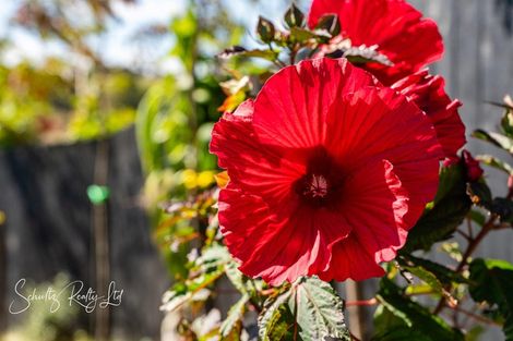 Photo of property in 4 Hebe Lane, Maungaturoto, 0520