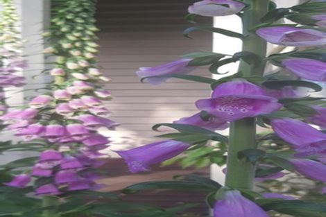 Photo of property in 253 East Maddisons Road, Springston, Christchurch, 7674