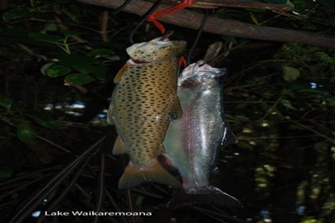 Photo of property in 82 Onepoto Road, Tuai, Wairoa, 4195