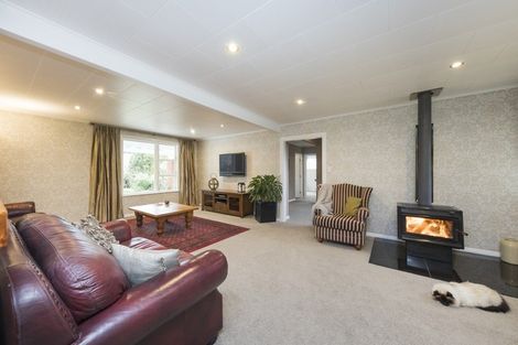 Photo of property in 435 Valley Road, Ashhurst, Feilding, 4775