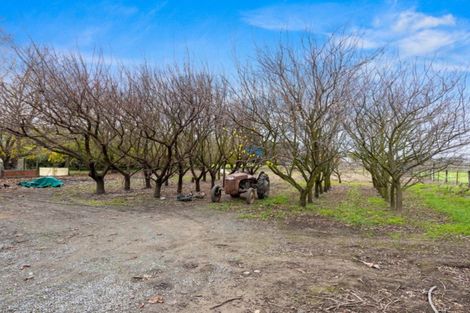 Photo of property in 199 Battys Road, Burleigh, Blenheim, 7201