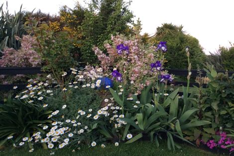 Photo of property in 1342 Coast Road, Toko Mouth, Milton, 9292