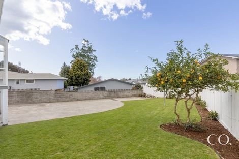 Photo of property in 169 Bellevue Road, Bellevue, Tauranga, 3110
